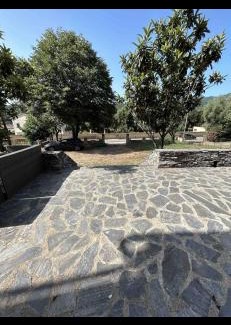 Folelli Villa | Villa Francette