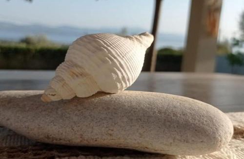 Eretria Villa | Villa Gaia Greece