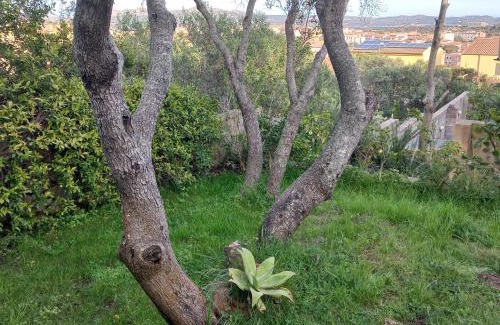 La Maddalena House | Villa Graziella