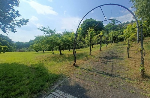 Solto Collina Villa | Villa Hélène