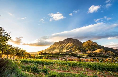 Somerset West House | Villa Helderberg