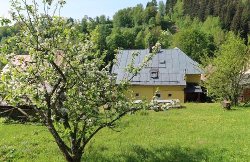 Svoboda nad Upou Villa | Villa Hillside Lodge & Garden by Interhome
