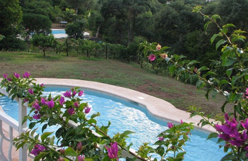 Antheor Villa | Villa in a quite place whit pool and many flower