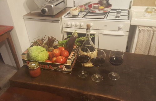 Castiglione di Garfagnana Villa | Villa & private pool in village, restaurants, pizza oven, free organic produce