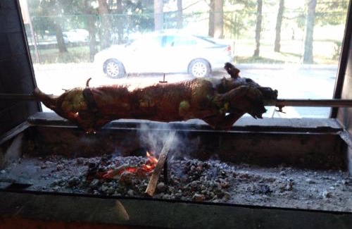 Vosteni Villa | Villa Janko