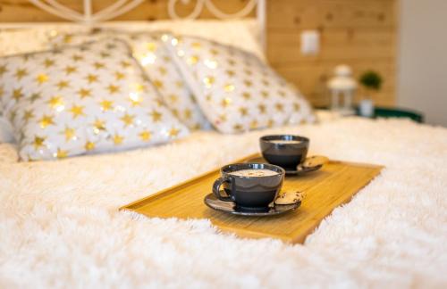 Ustrzyki Dolne Apartment | Villa Kasztelan Apartamenty