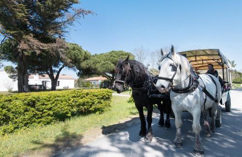 Ile-d'Aix Villa | Villa Kenavo - Maison familiale avec vue mer