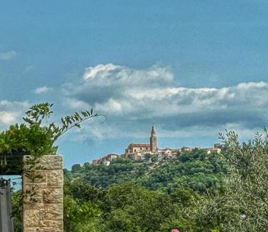 Buje Villa | Villa La Vinella with heated pool