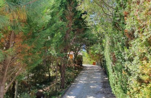 Cap-Ferret Villa | Villa "Le Mirage"