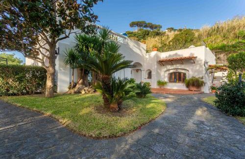 Lacco Ameno Villa | Villa Le Pagine Bianche