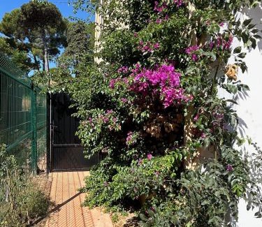 Tamaris Apartment | Villa les Lys 2