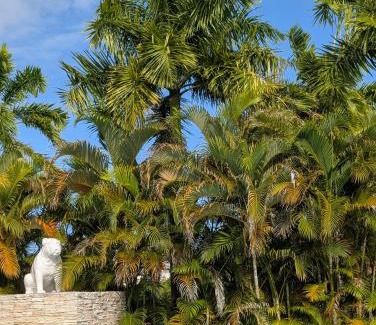 Anse des Rochers Villa | Villa Luminescence