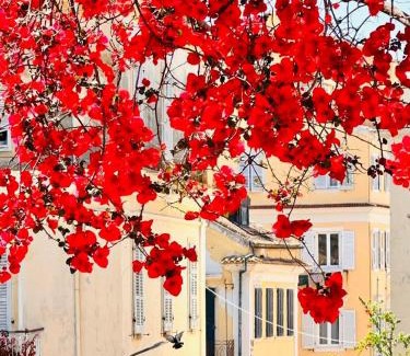 Liapades Apartment | Villa Maria 1