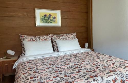 Brunico Apartment | Villa Maria Dolomites Vintage Home