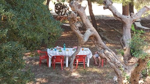 Taviano House | Villa Maria in Puglia con pineta vicino al mare