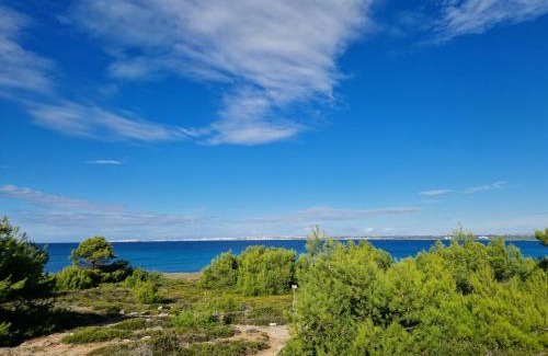 Taviano House | Villa Maria in Puglia con pineta vicino al mare