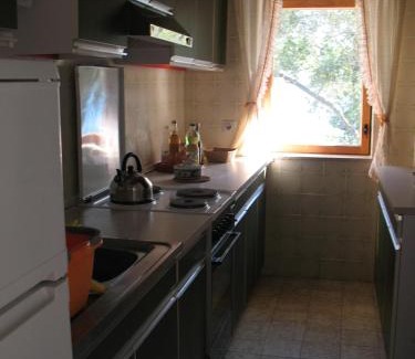 Vantacici Apartment | Villa Maslina