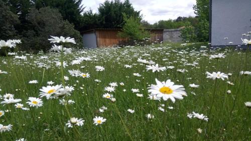 Messanges Villa | Villa Messanges (piscine & spa)