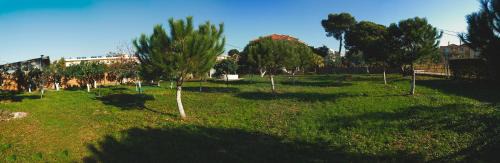 Mytikas Villa | Villa Moby Dick