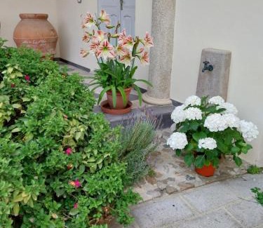 Assemini House | Villa Mostallino