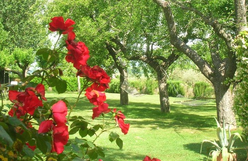 Pietrauta Bed & Breakfast | Villa Mustafà