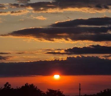 Filipini Villa | Villa Nemo