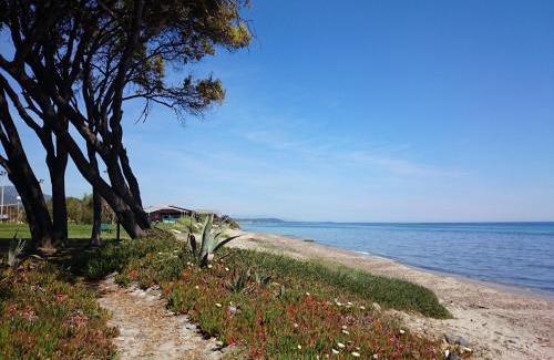 Prunete Villa | Villa Paesolu