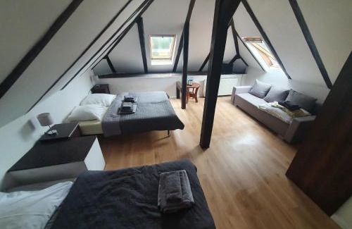 Kudowa Zdroj Resort | Villa