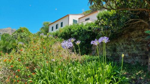 Portoferraio Villa | Villa Podere I Cavalieri