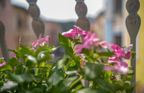 Santa Teresa di Gallura Villa | Villa Rosa - Casa delle Bambole