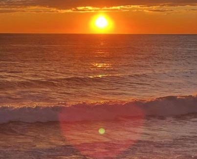 Bonassola Apartment | VILLA ROSA CON SPLENDIDA VISTA MARE