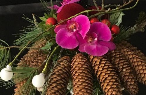 Lourdes Apartment | Villa Sérénité appartement au centre ville n 5