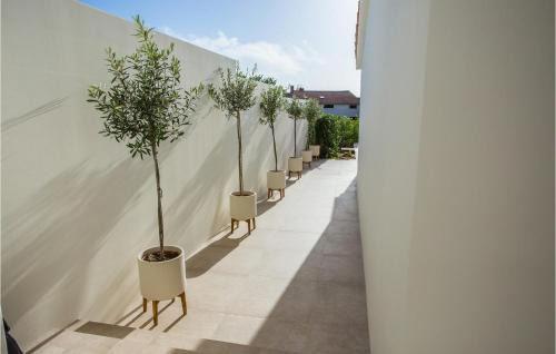 Musalez House | Villa San Biagio Star