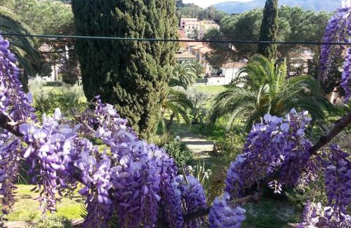 Porto Azzurro Apartment | Villa San Giuseppe