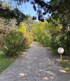 Lorgues Bed & Breakfast | Villa San Marco chambre d hôtes