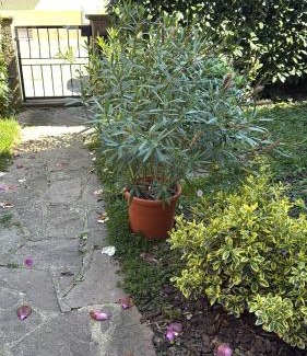 Selestat Apartment | Villa Schmitt