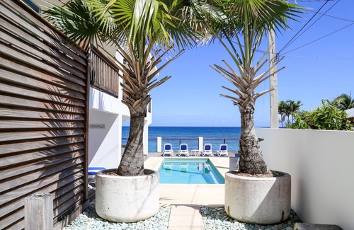 Aguacate Apartment | Villa Shacks- Unit 3