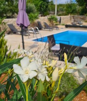 Linardici Villa | Villa Sidro Krk