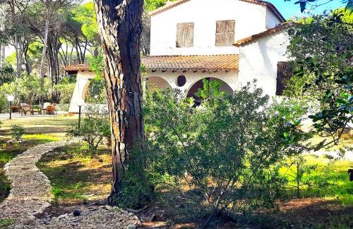 Santa Margherita di Pula Villa | Villa Spiga