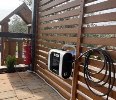 Novigrad Villa | Villa Stanzietta Novigrad for 10 at Olive orchard