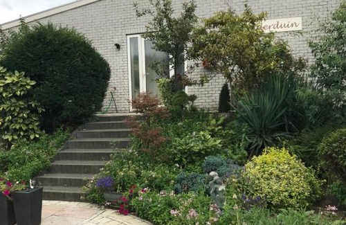 Wijk aan Zee House | Villa 't Haasduin