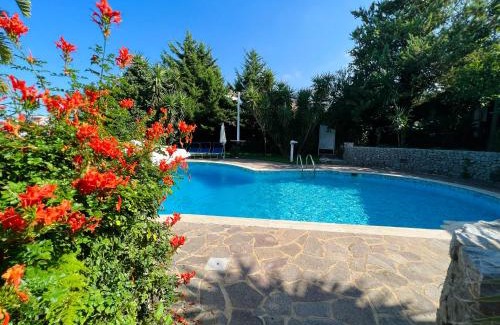 Carini Villa | Villa Talìa