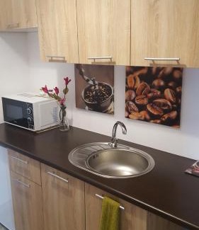 Pruszcz Gdanski Apartment | Villa Terra