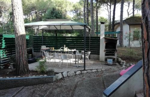 Jesolo Pineta Apartment | Villa Trifoglio