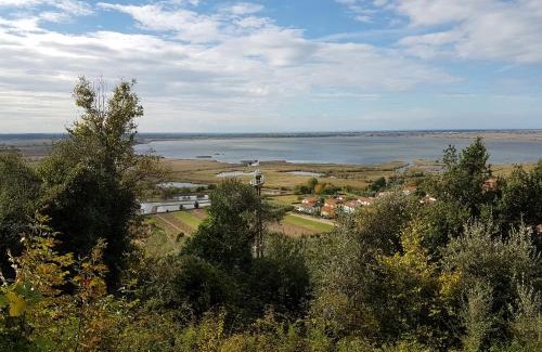 Massaciuccoli Villa | Villa Twetty