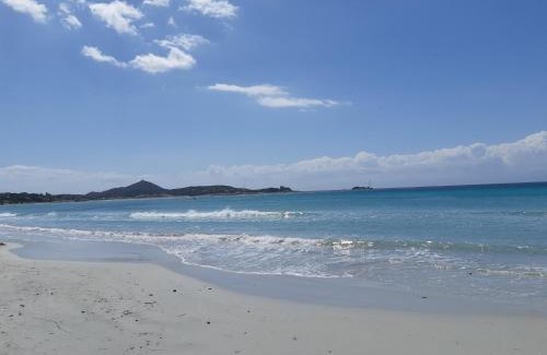 Campulongu Villa | Villa ValePina