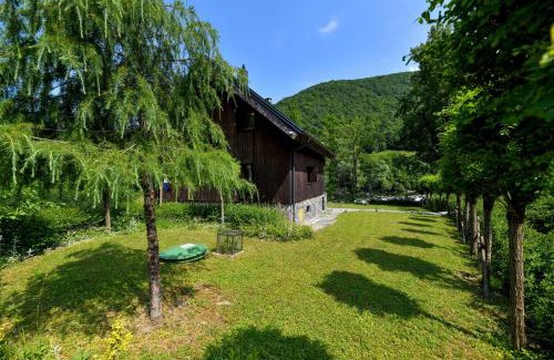 Brod Moravice Villa | Villa VEGA - Gorseti