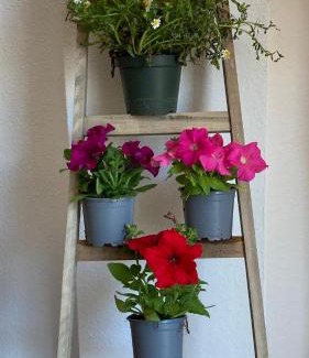 Alhaurin de la Torre House | Villa Veleta