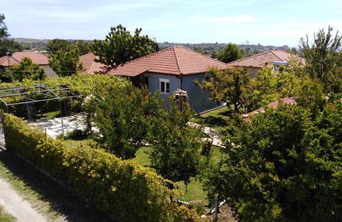 Nea Propontida Villa | Villa Viktoria Halkidiki