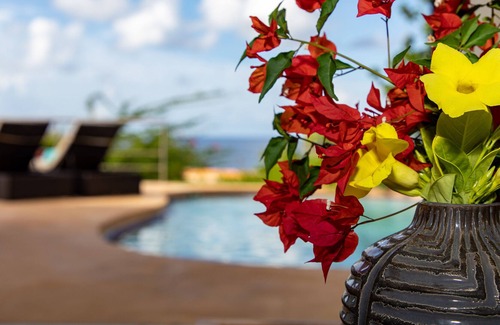 Kralendijk Villa | Villa Vista Blue - Ocean View, Splash Pool, Local Garden, Gated Community